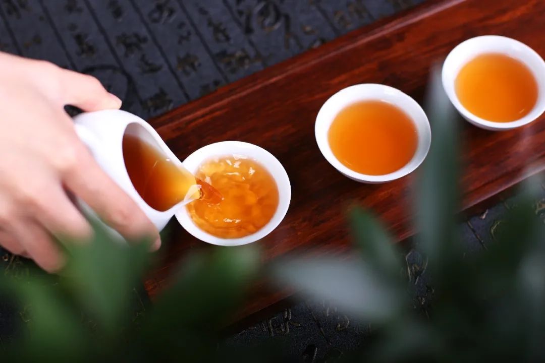 茶树品种对荼品质的影响